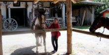 Pullman City