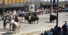Pullman City