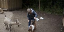 Joshis WE bei uns