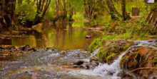 kleiner Wasserfall nah