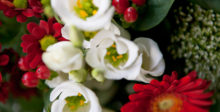 Blumenstrauss zum Valentinstag 2