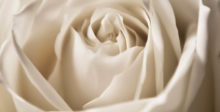 Blumenstrauss zum Valentinstag 6