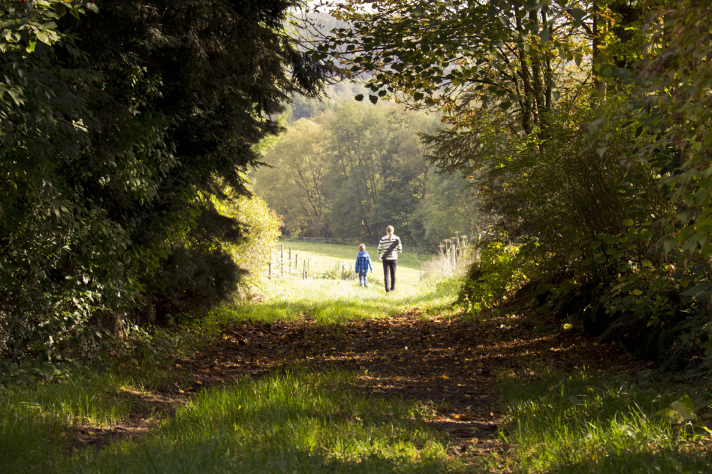 Es geht auf zum Wald